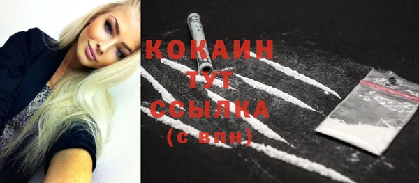 шишки Иннополис