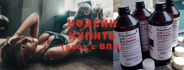 шишки Иннополис