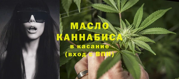 соль ск Инсар