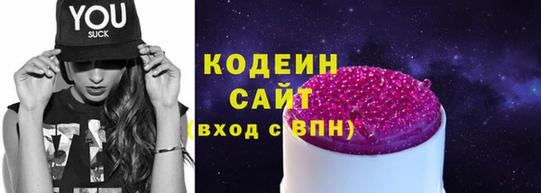 соль ск Инсар