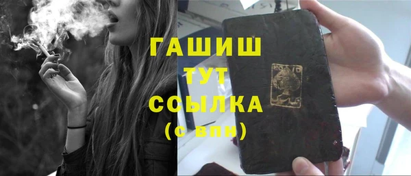 соль ск Инсар