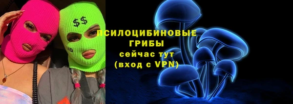 соль ск Инсар