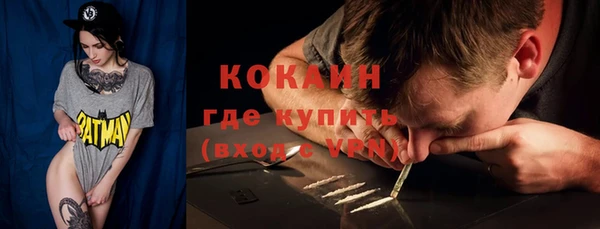 шишки Иннополис