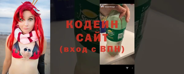 шишки Иннополис