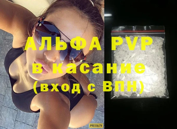 соль ск Инсар