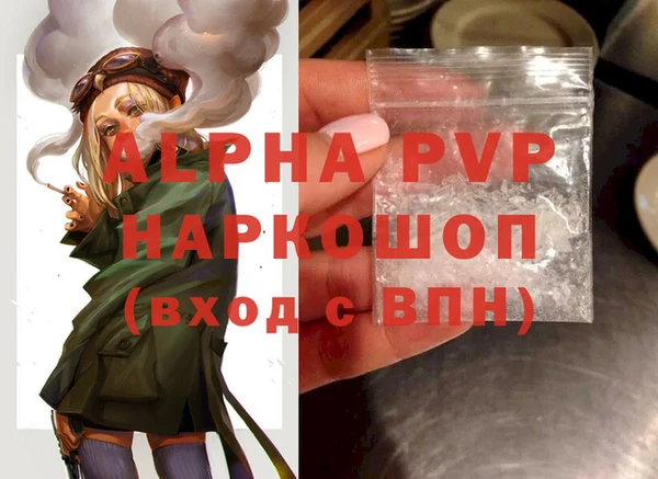 соль ск Инсар