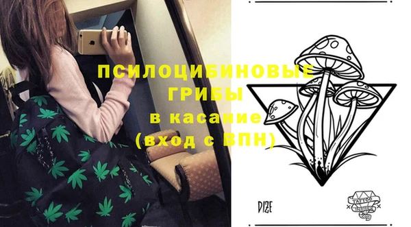 шишки Иннополис