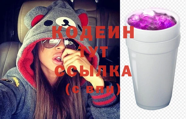 соль ск Инсар