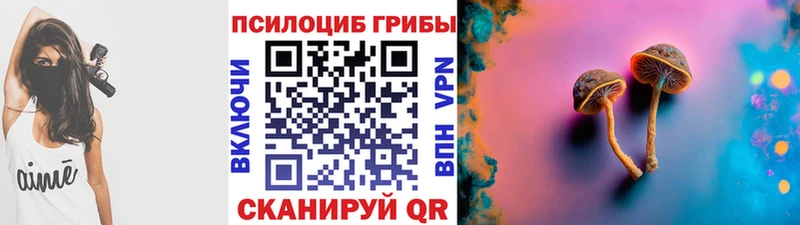 Галлюциногенные грибы GOLDEN TEACHER  мориарти какой сайт  Новошахтинск 