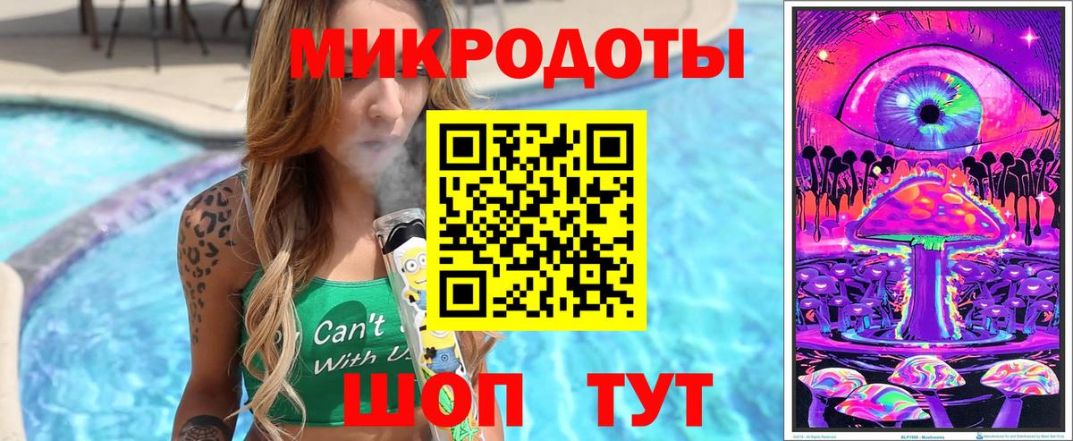 Псилоцибиновые грибы Psilocybe Новошахтинск