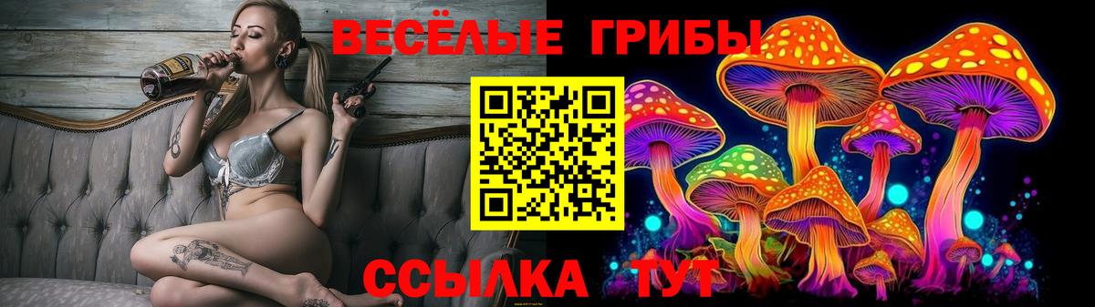 Новошахтинск  Псилоцибиновые грибы GOLDEN TEACHER  Псилоцибиновые грибы GOLDEN TEACHER  Вход с VPN 