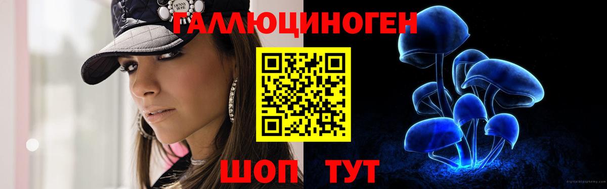 купить наркоту  Новошахтинск  Галлюциногенные грибы Magic Shrooms 